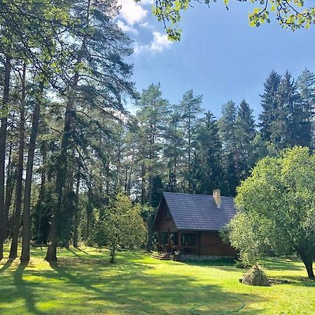 Rojaus Slenis Villa Друскининкай Екстериор снимка