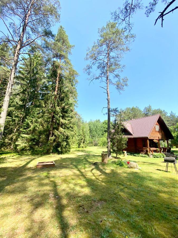 Rojaus Slenis Villa Друскининкай Екстериор снимка