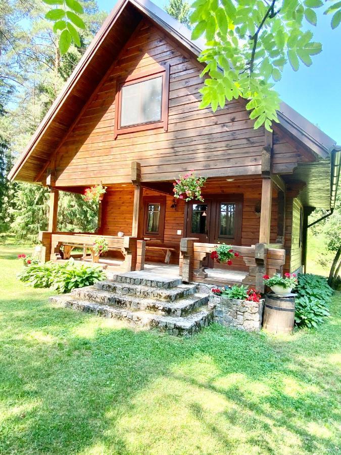 Rojaus Slenis Villa Друскининкай Екстериор снимка