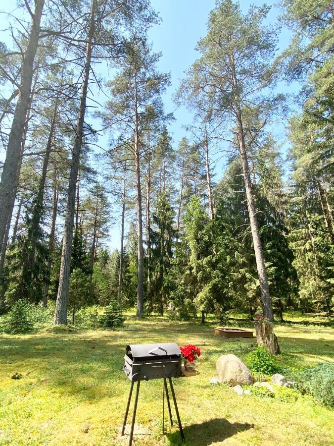 Rojaus Slenis Villa Друскининкай Екстериор снимка