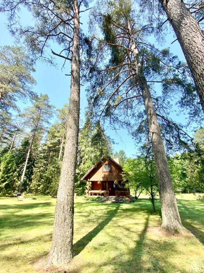 Rojaus Slenis Villa Друскининкай Екстериор снимка