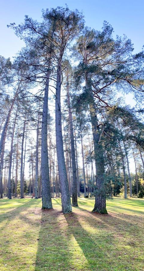Rojaus Slenis Villa Друскининкай Екстериор снимка