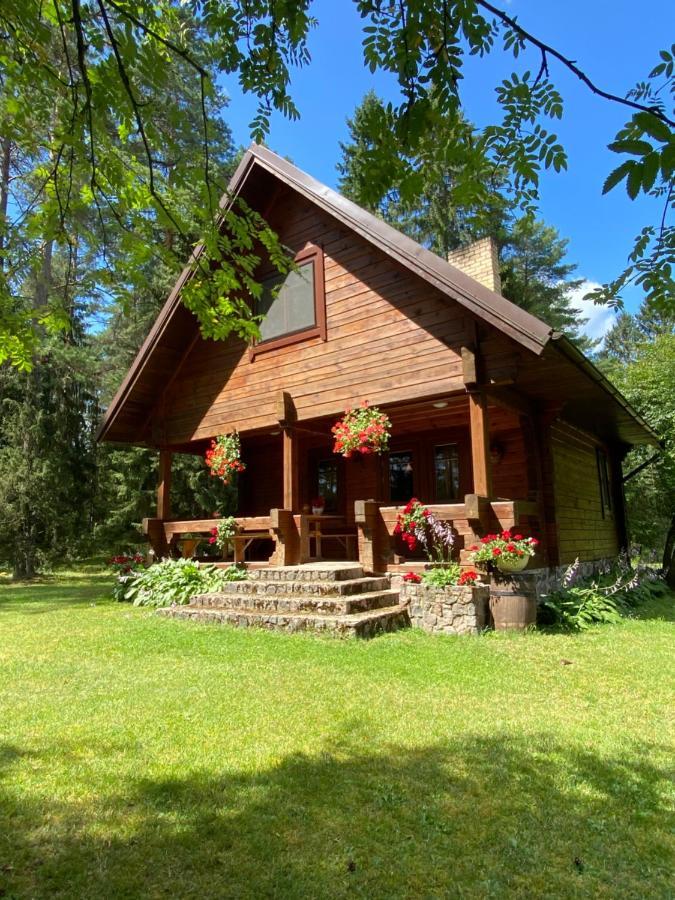 Rojaus Slenis Villa Друскининкай Екстериор снимка