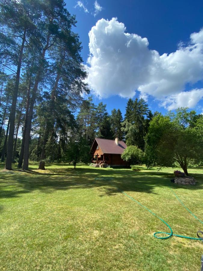 Rojaus Slenis Villa Друскининкай Екстериор снимка