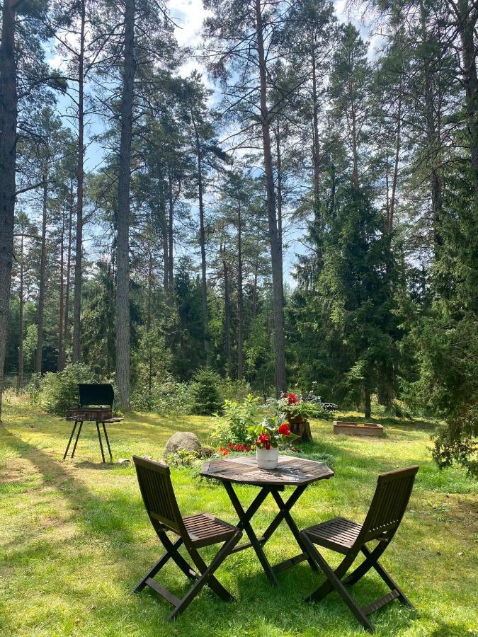 Rojaus Slenis Villa Друскининкай Екстериор снимка