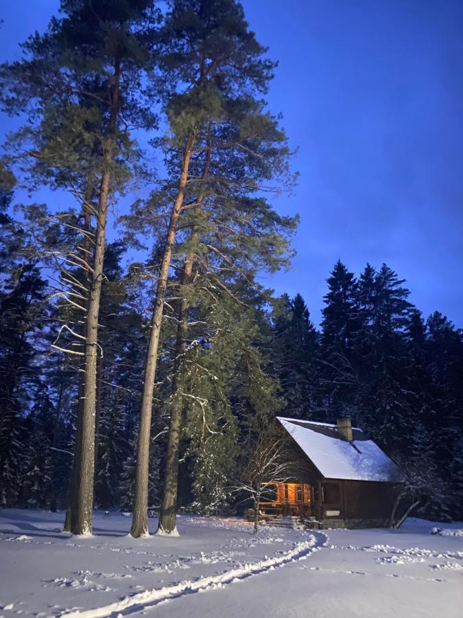 Rojaus Slenis Villa Друскининкай Екстериор снимка