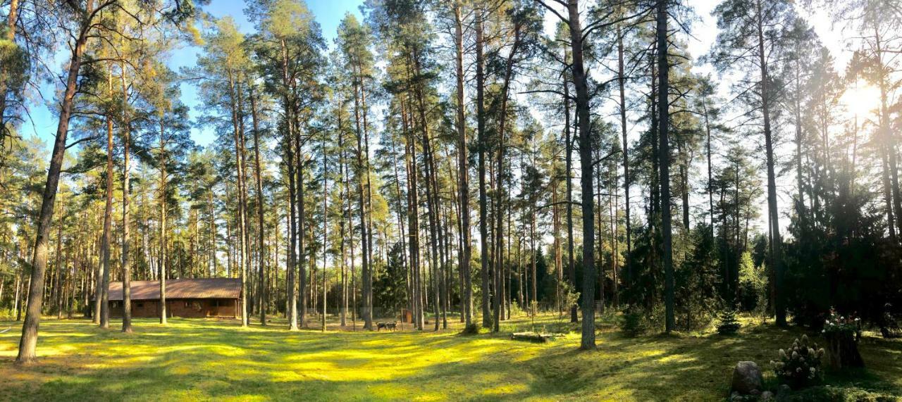 Rojaus Slenis Villa Друскининкай Екстериор снимка