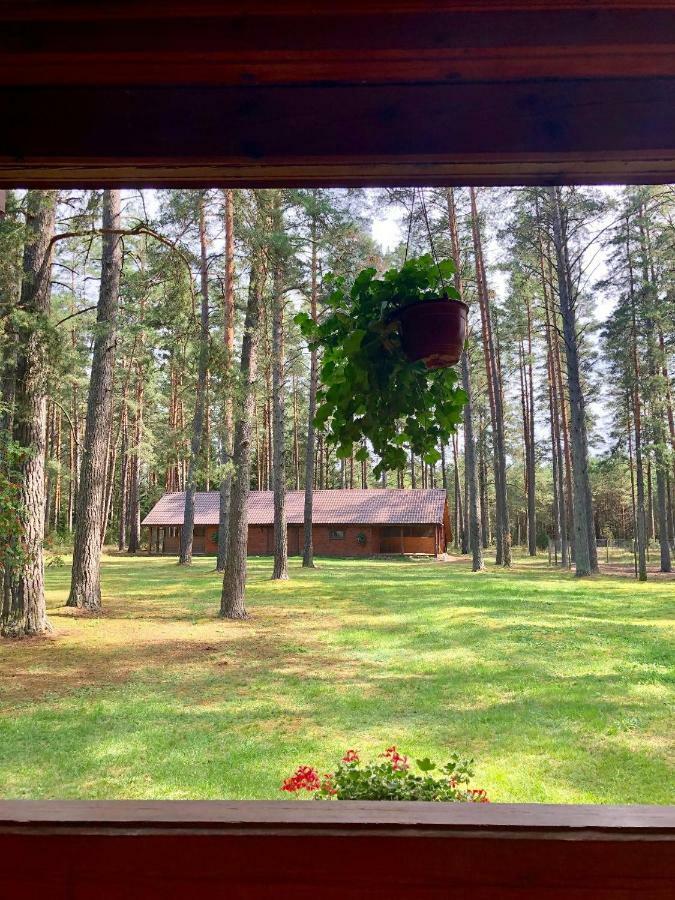 Rojaus Slenis Villa Друскининкай Екстериор снимка