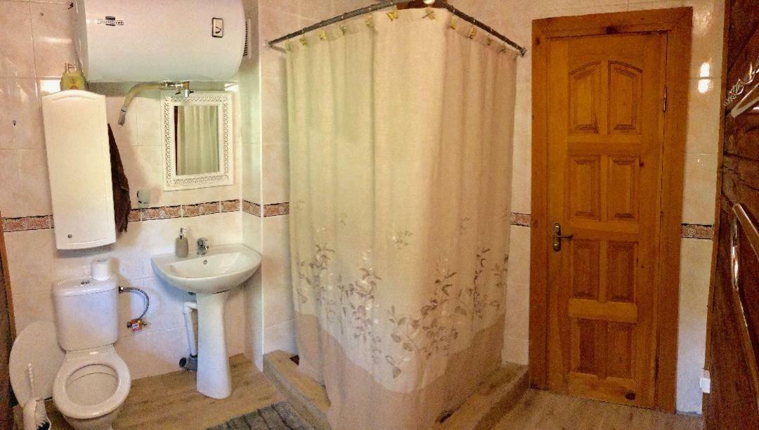 Rojaus Slenis Villa Друскининкай Екстериор снимка