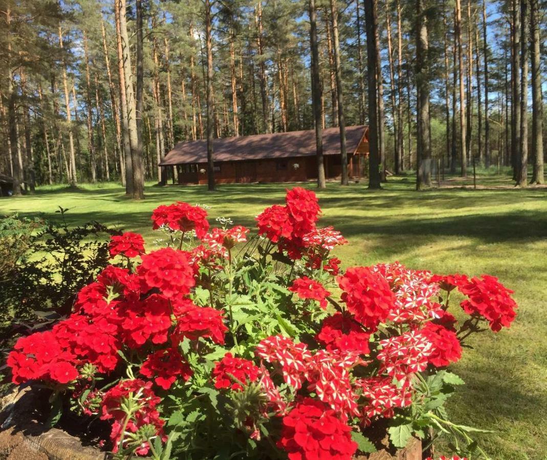 Rojaus Slenis Villa Друскининкай Екстериор снимка