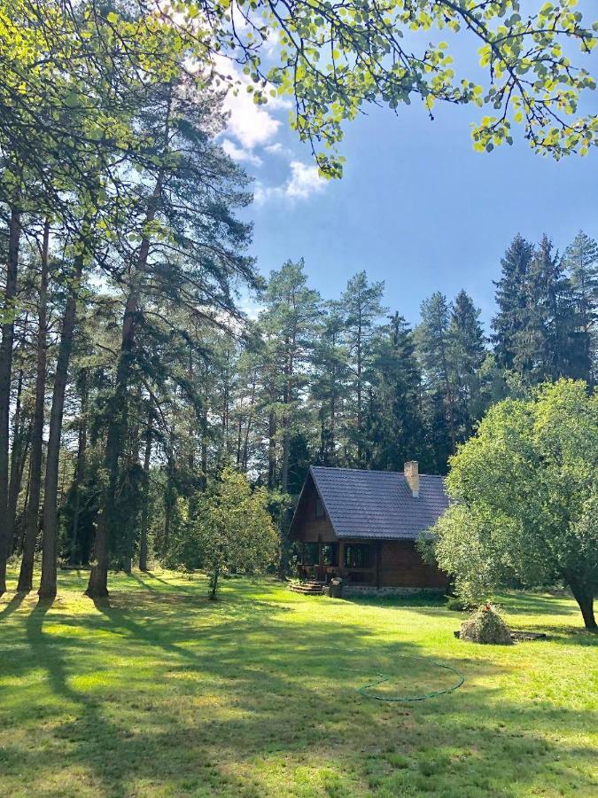 Rojaus Slenis Villa Друскининкай Екстериор снимка