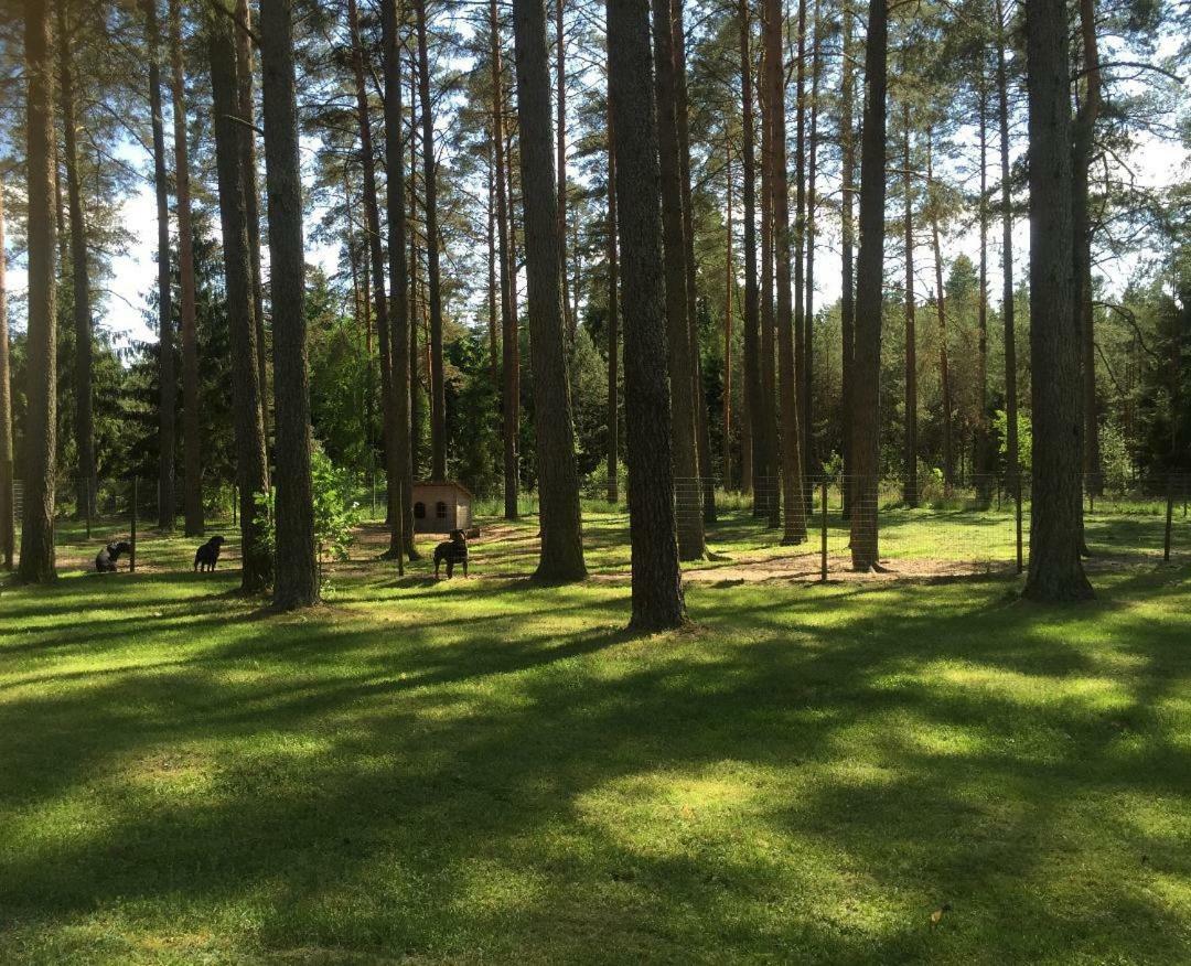 Rojaus Slenis Villa Друскининкай Екстериор снимка
