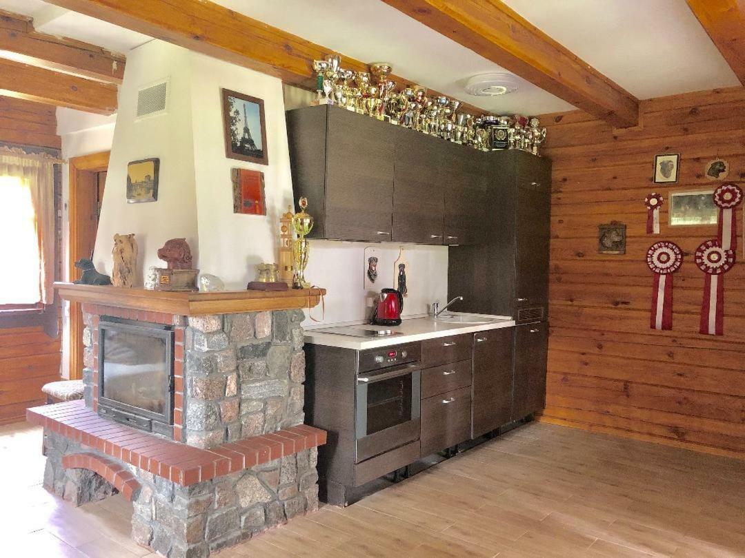 Rojaus Slenis Villa Друскининкай Екстериор снимка